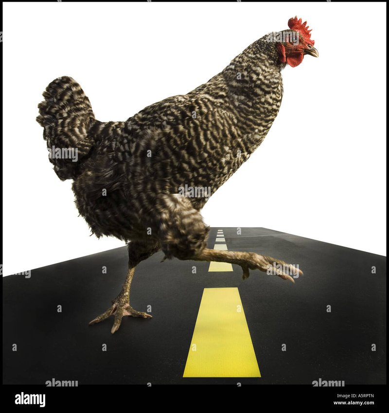 Best chicken road 2 españa in Spain